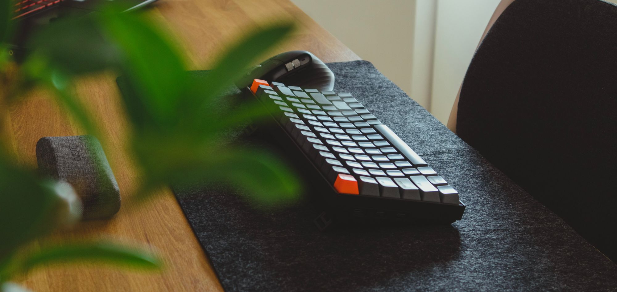 A mechanical keyboard lies on a desk surrounded by plants