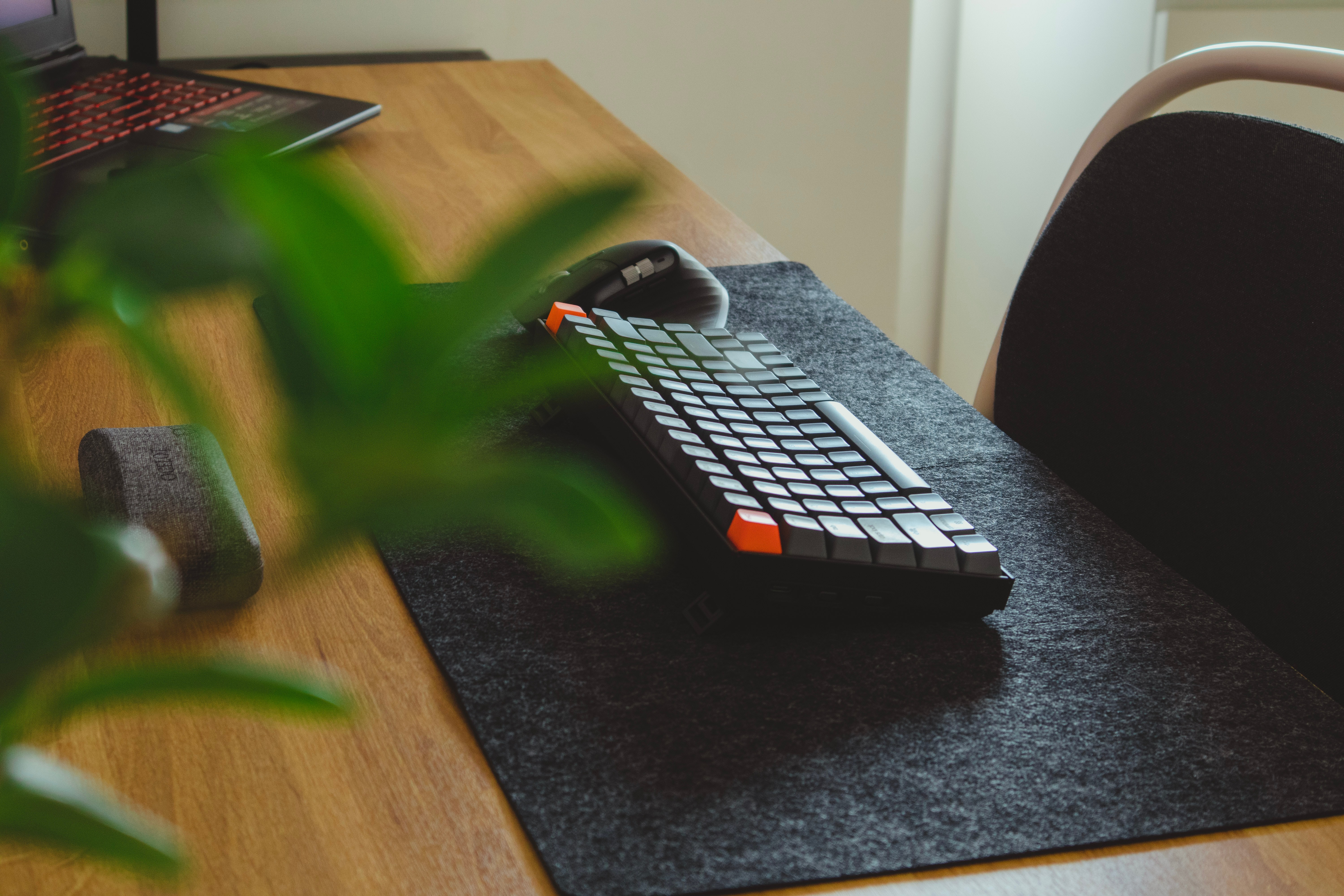 A mechanical keyboard lies on a desk surrounded by plants