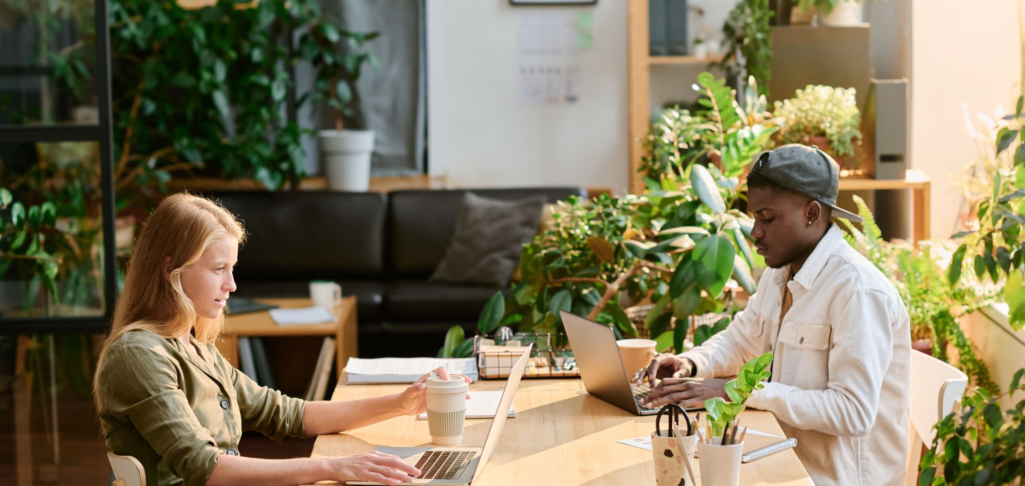 Two web developers sit on opposite sides of an oak table